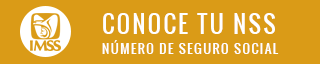 Seguro Social